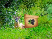 Return To Alsunga Forest