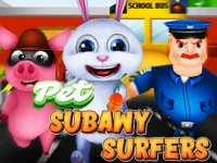 image Pet Subway Surfeurs