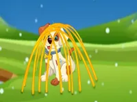 image Rescue the Doggy