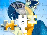 image Seafood supermarket