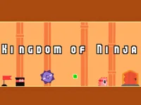 image Kingdom of Ninja