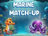 image Marine Match Up