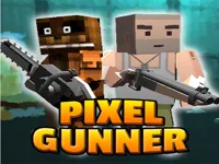 image Pix Gunner