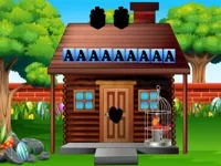 image Rescue The Pirate Parrot