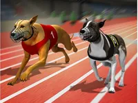 image Racing Dog Simulator : Crazy Dog Racing Games