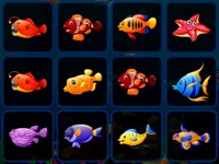 image Fish Cards Match