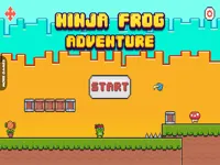 Ninja Frog Adventure