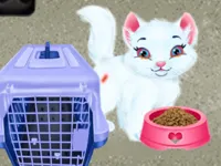 image Baby Taylor Pet Care