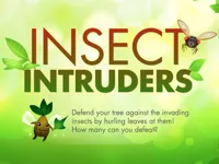 image Insect Intruders