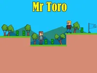 image Mr Toro