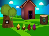 image Toco Toucan Escape