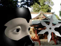 image Ninja Academy
