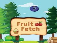 image Fruit Fetch